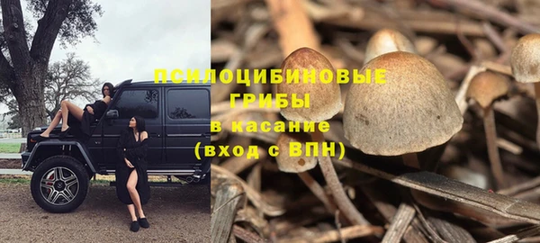 бошки Беломорск